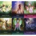 Oracle Of The Fairies - Perilerin Kahini Tarot