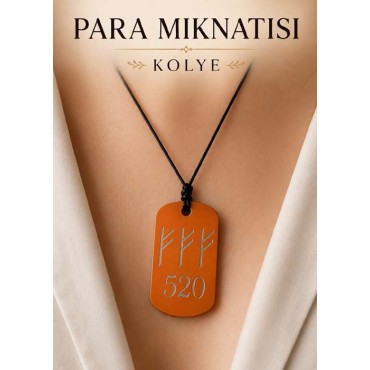 Para Mıknatısı Kolye - Fehu ve 520 