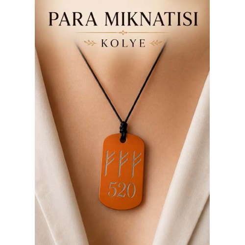 Para Mıknatısı Kolye - Fehu ve 520 
